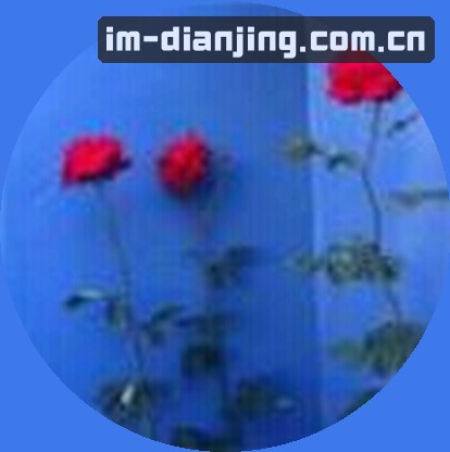 陈涛